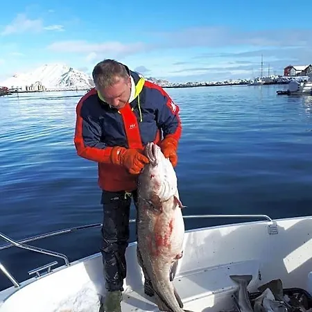 Kraemmervika Havn Ferieparker Ballstad