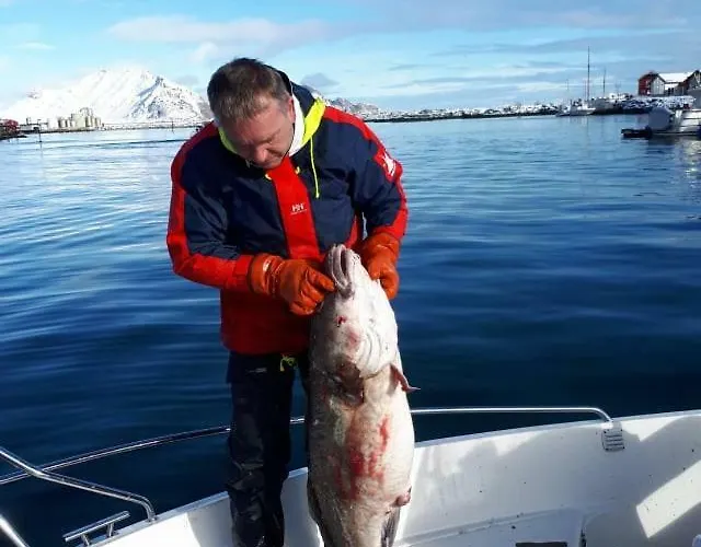 Kraemmervika Havn Ballstad